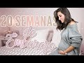 20 semanas de embarazo | Síntomas, sexo del bebé, pruebas...