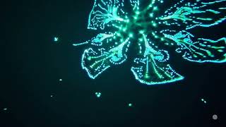 Luminous Deep Sea Creatures