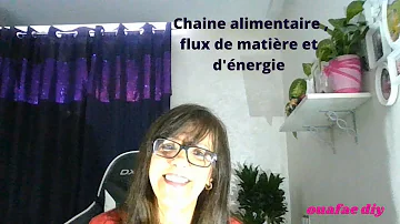 Comment se fait le flux de la matière dans une chaîne alimentaire ?