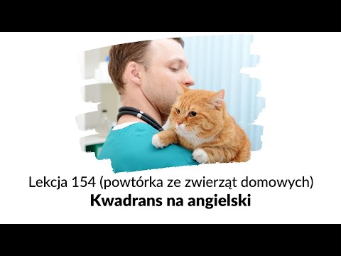 Wideo: Jak powiedzieć, kiedy kobieta Husky jest w upale