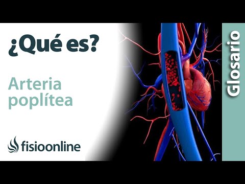 Vídeo: Què subministra l'artèria peroneal?