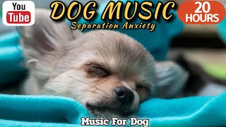 20 HOURS of Dog Calming Music🦮💖Relaxing Music for Dogs🐶🎵Separation Anxiety Relief Music⭐Healingmate by HealingMate - Dog Music 32,275 views 3 weeks ago 20 hours