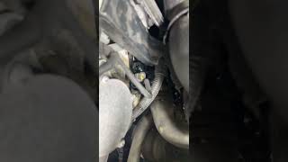 #minicooper coolant bleeding