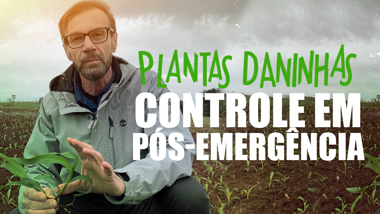 Controle em Pós-Emergência