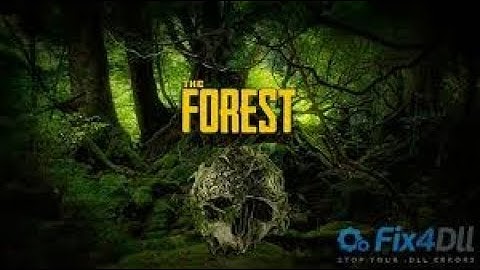 fix for the forest modapi last video continue
