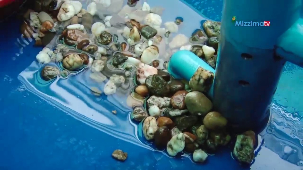 ငါးေမြးျမဴေရးႏွင့္ စုိက္ပ်ိဳးေရးနည္းပညာ