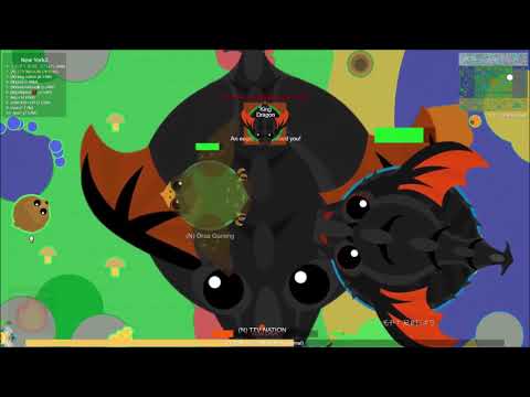 i got king dragon in mope.io after 20 years...
