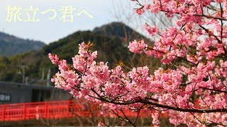 旅立つ君へ / 初音ミク