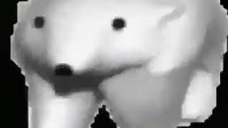 Polar Bear Gif Screaming Meme 10 Hours