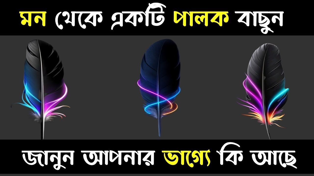 মন থেকে একটি পালক বাছুন জানুন আপনার ভাগ্যে কি আছে |আপনি কেমন মানুষ| Psychological Test | Brain Teach
