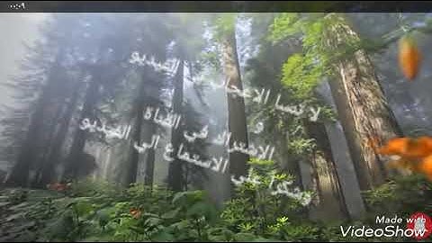 تلاوة عطره كلها هدوء  وطمأنينة أرح بها بالك ومسمعك 😍❤