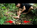 Horrible accident poison snake attack sumatra receives aid from the rescue team