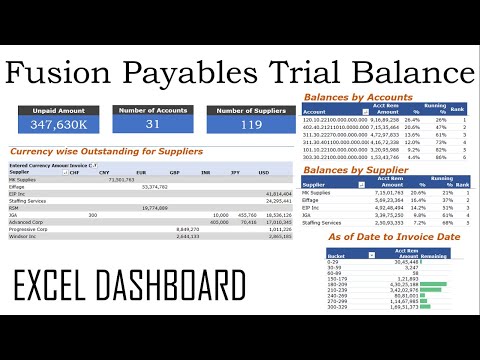 Excel Dashboard - Oracle Fusion Payables Trial Balance - Get Summarized Information in Pivot  #03