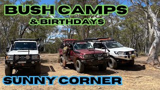 Sunny Corner  Daylight ck  Bush Camping  Family camps  4wding  Landcruiser   Camper Trailer