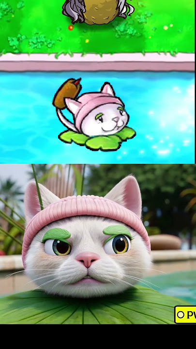 Just a reminder about this Crazy Cat w/@PVZCSH (PVZ) #pvz #plantsvszombies