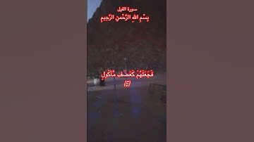 سورة الفيل -Surat Al-Fil #quran #quran_kareem #story #qurankarem #abdulrahmanmossad #explore