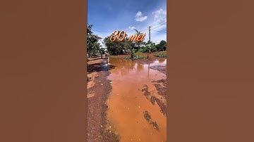 Test bo bo thái và cái kết #shorts