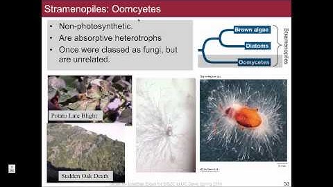 Lecture 13 SectionB BIS2C UC Davis Spring 2014 Jonathan Eisen