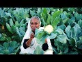 Mather Tatka Fulkopi & Janto Ponar Jhol Traditional Bangali Village Recipe Prepared by Grandmother