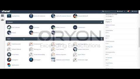 How to website visitors list via cPanel