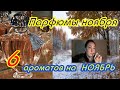 6 парфюмов на Ноябрь. Осенние ароматы: древесные, специевые  #осенниеароматы #парфюмерная_коллекция