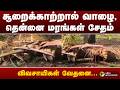 சூறைக்காற்றால் வாழை, தென்னை மரங்கள் சேதம்விவசாயிகள் வேதனை ... | Salem