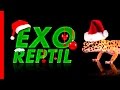 Exo Reptil - Feliz Navidad!