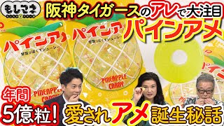 【ドラマ】阪神タイガース日本一で大注目パインアメ誕生秘話  見たことある⁉パイン㊙コラボ【もしマネ】