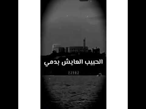 رايح حبيبي الملأ باسم الكربلائي جديد 