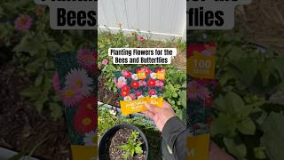 Planting Flowers Because You Need Pollinators