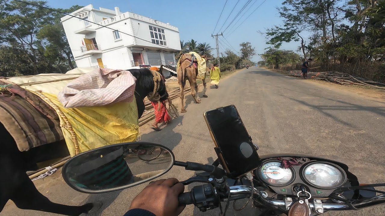 Jaleswar Road Pe Horse🐎 & Camel🐪 Dekha Mene||Tapan Das vlogs 