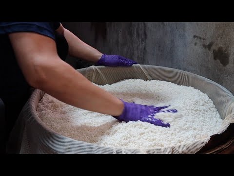 Rice Pudding with Dried Longan Making 古早味嘉義桂圓米糕製作 - Taiwanese Food, 台灣美食