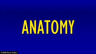 #90: ANATOMY - Jeopardy! Clues of the Week