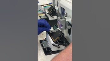 Cutting heart on our HistoDream microtome! #histology #pathology #tissueprocessing