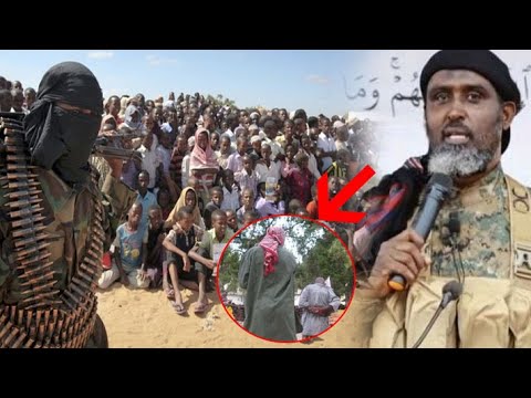 DEG DEG Shabaab oo meel fagaaro ku dilay 2 wiil oo la dhashay afhayeenka kooxdaas Cali dheere,