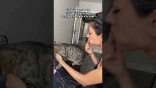 Kedimle Konuşuyorum