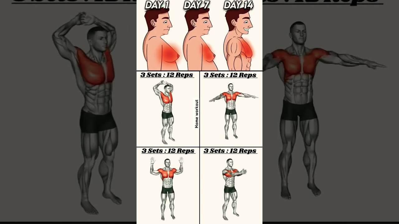 Belly and Chest Fat Loss Workout at Home — Mr dk Body fitness
