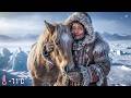 This horse was saved from freezing to death in -71° Celsius in Siberia