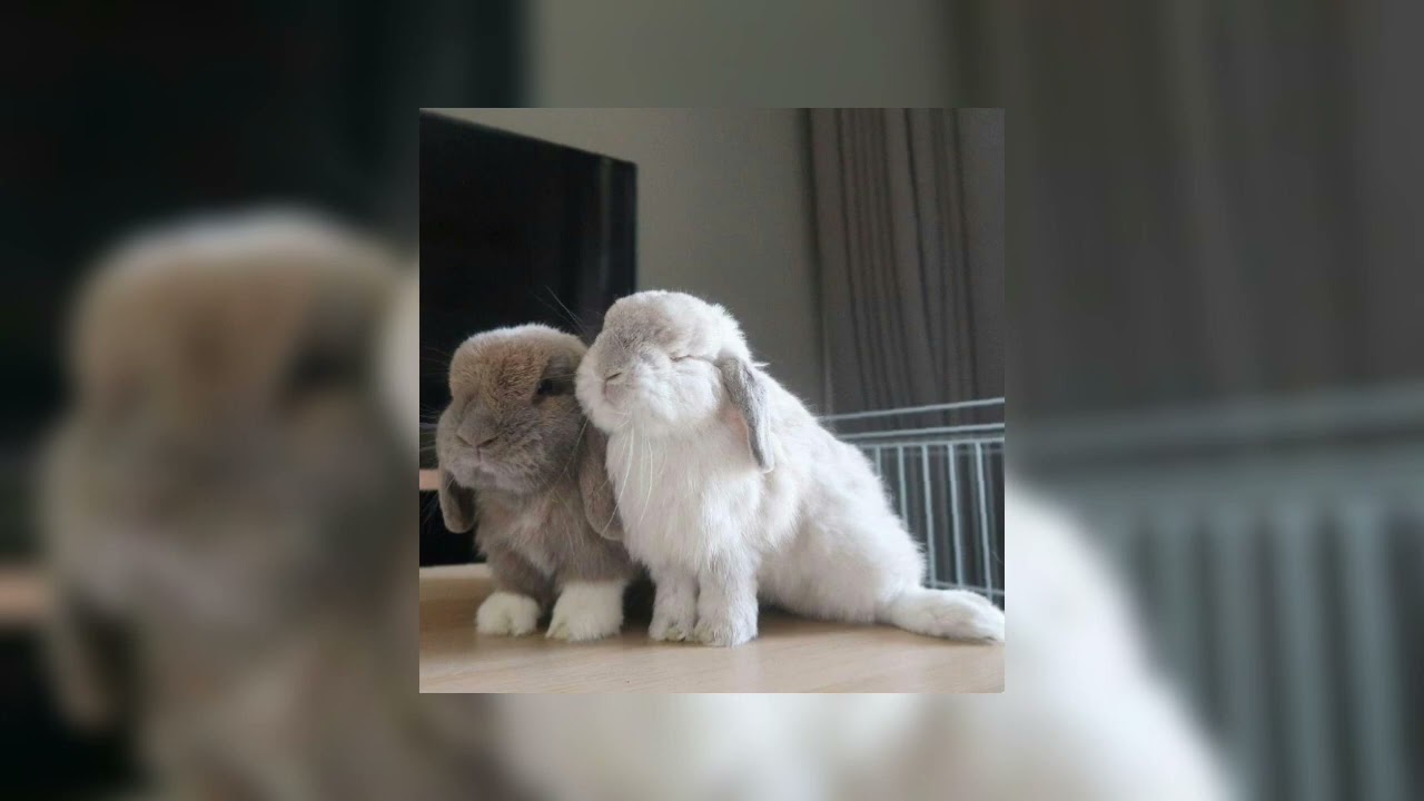 P.S I Love You - Paul Partohap [sped up]