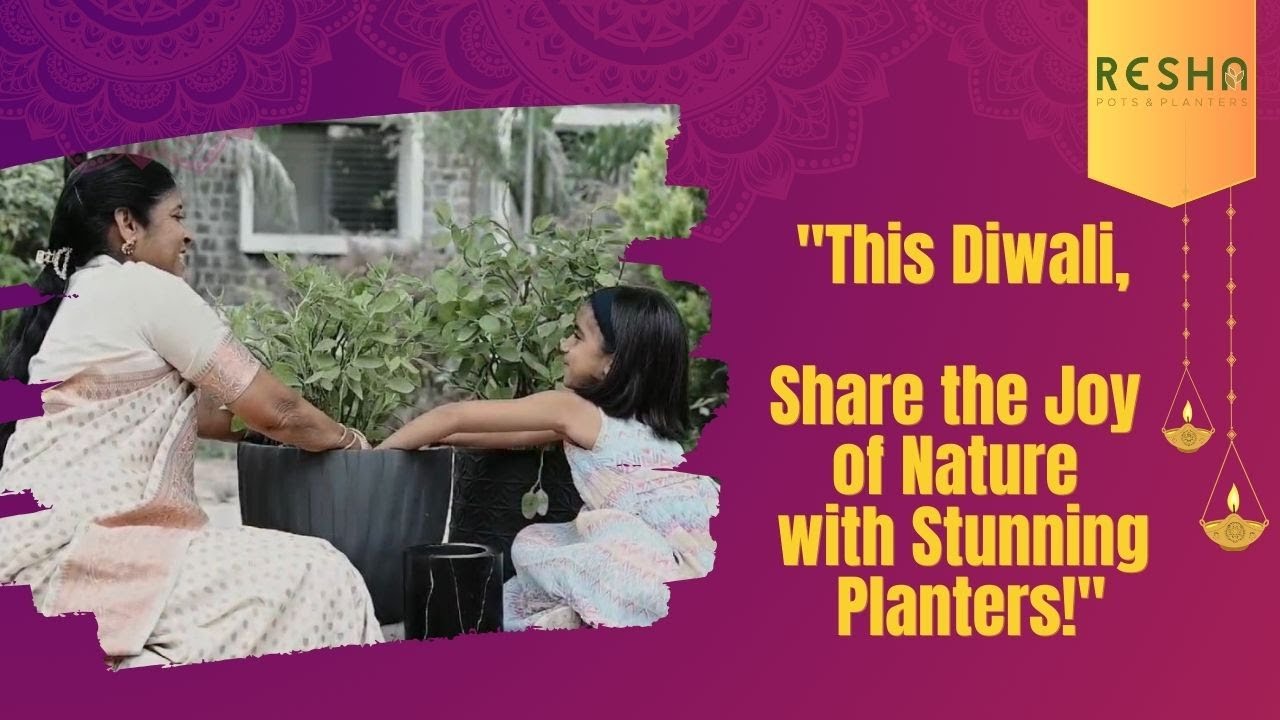 "This Diwali, Share the Joy of Nature with Stunning Planters!" resha planter| diwali gifts
