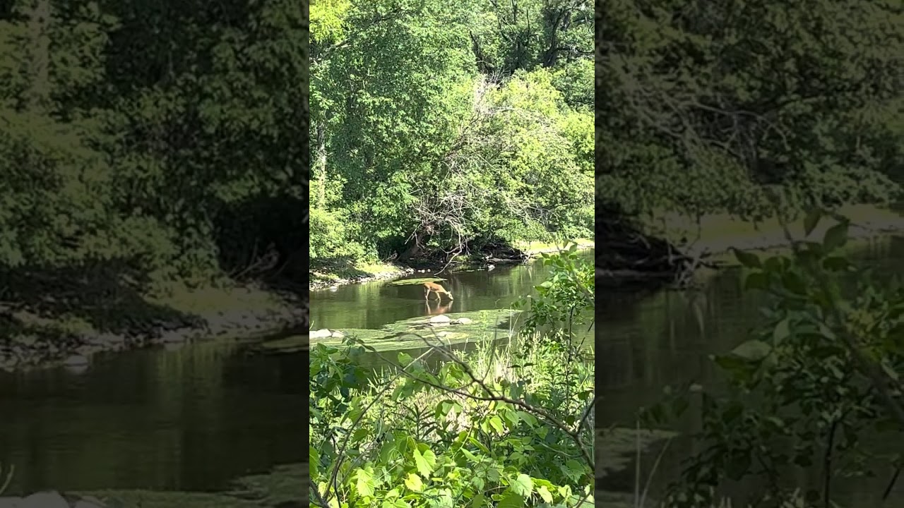 Cycle trek through McDowell Grove