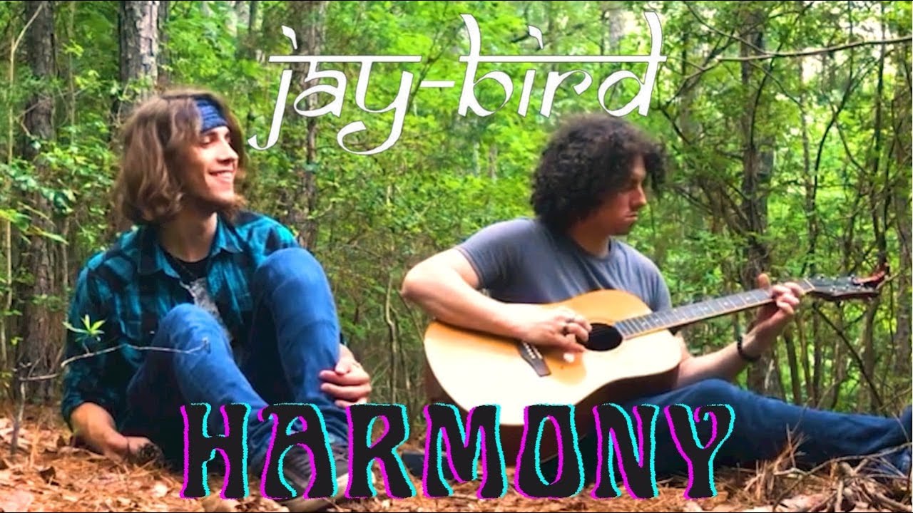 jay-bird - "Harmony" (Official Music Video)