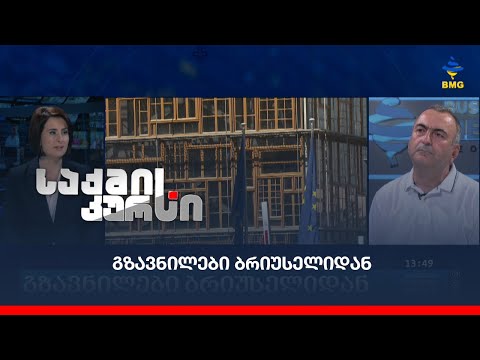 გზავნილები ბრიუსელიდან - მიხეილ მირზიაშვილი საქმის კურსში