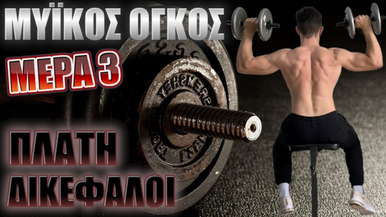 Εβδομαδιαίο Πρόγραμμα για ΜΥΪΚΟ ΟΓΚΟ /Μέρα 3 / ΠΛΑΤΗ-ΔΙΚΕΦΑΛΟΙ (Με Αλτήρες)