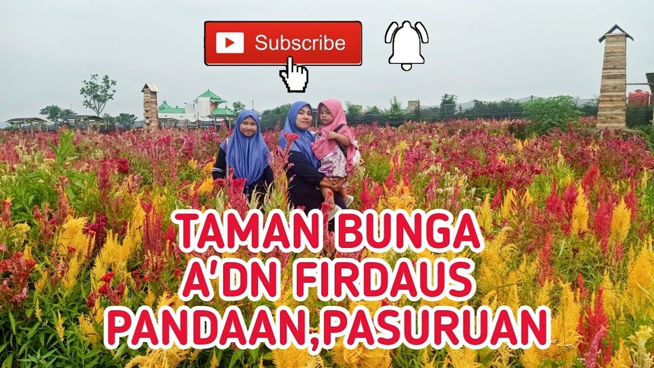  TAMAN  BUNGA  ADN FIRDAUS  YouTube