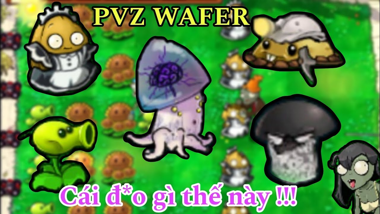 Plants vs Zombies WAFER: Tôi đã bị mod này đánh bại chỉ với 1 cây nấm !!
