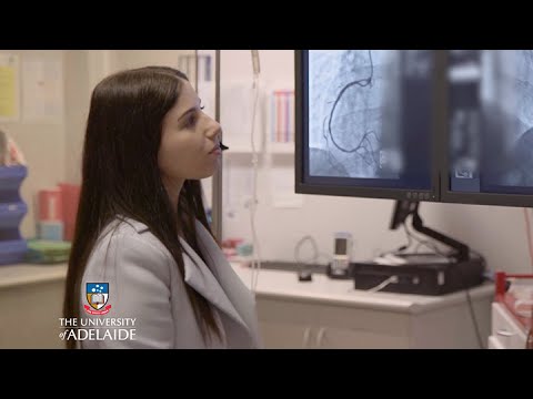Bachelor of Health and Medical Sciences career snapshot