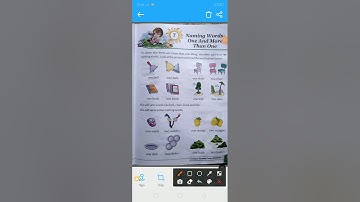 Pragati Verma Class 2 #English grammar