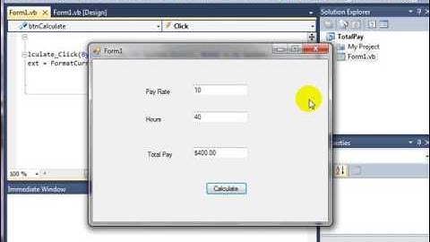 Visual Basic (VB) Total Pay Format Currency