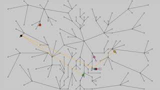 Study no. 14.1: Animated Notation